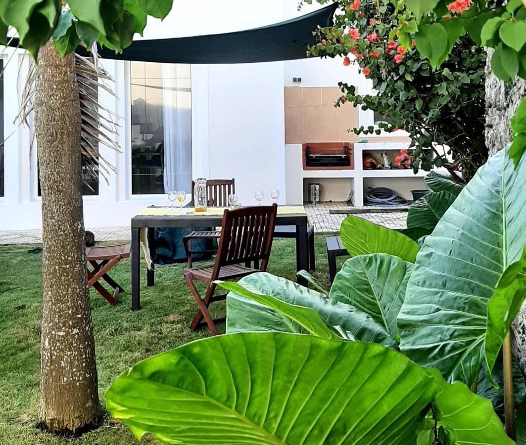 Vila Nikau - Garden By The Sea Lagoa  Ngoại thất bức ảnh