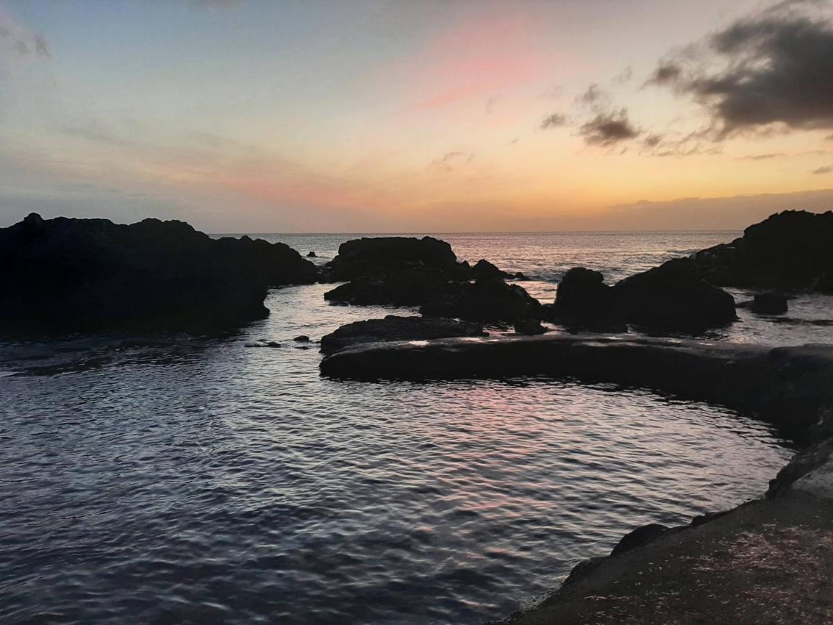 Vila Nikau - Garden By The Sea Lagoa  Ngoại thất bức ảnh