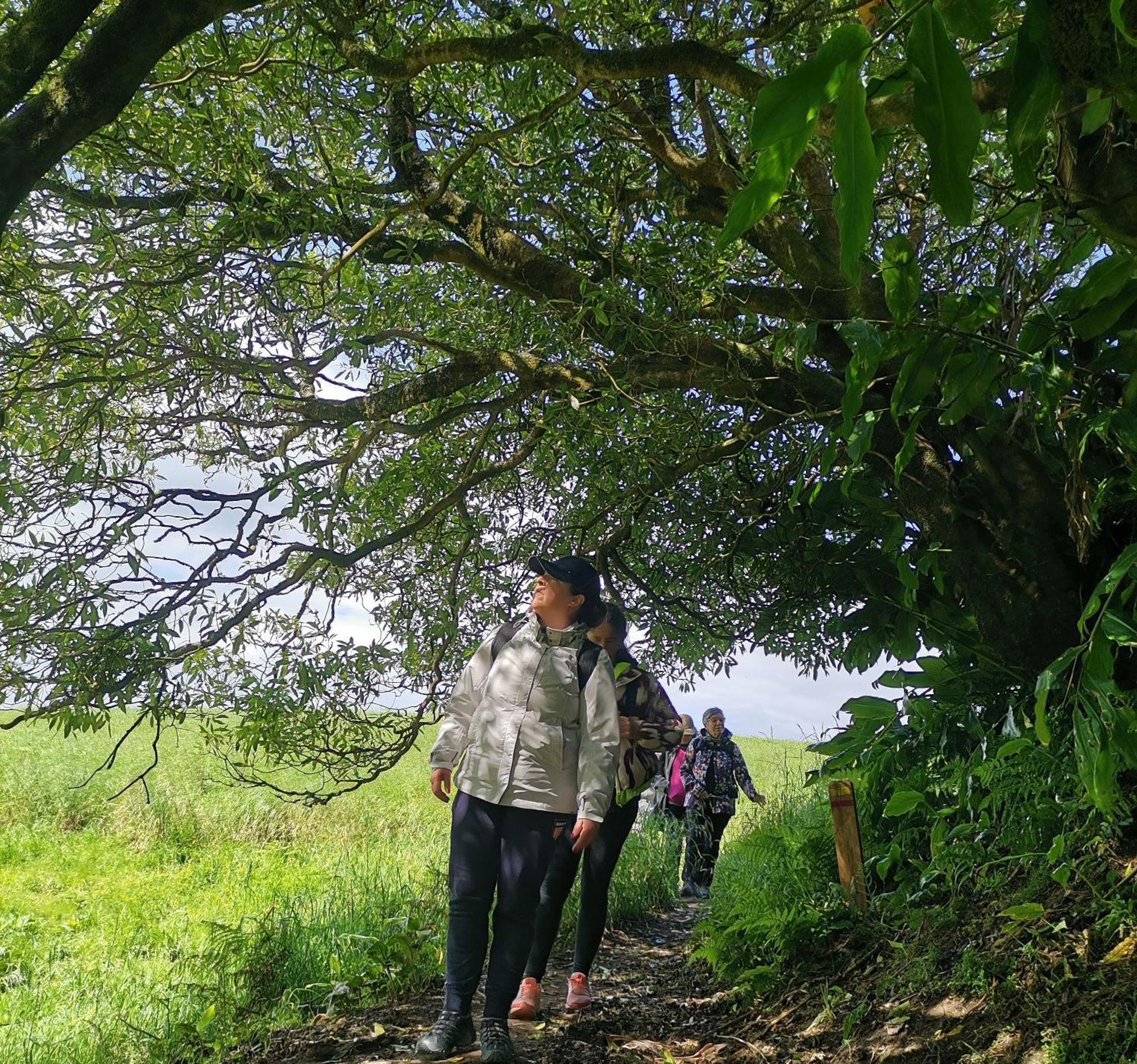 Vila Nikau - Garden By The Sea Lagoa  Ngoại thất bức ảnh